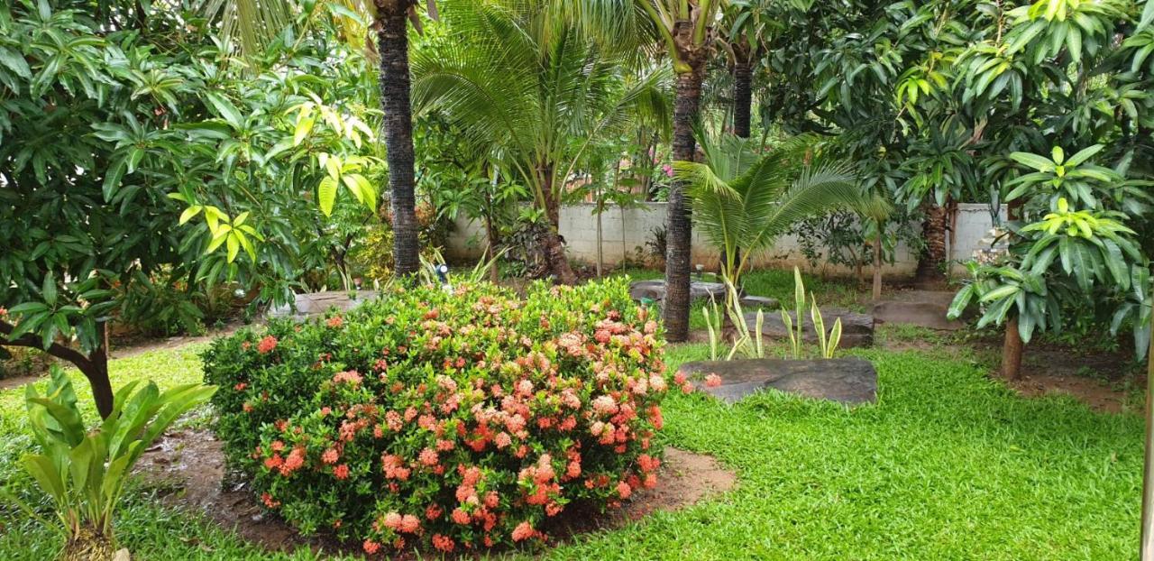 Nuch'S Apple Guest House Si Bun Ruang Экстерьер фото